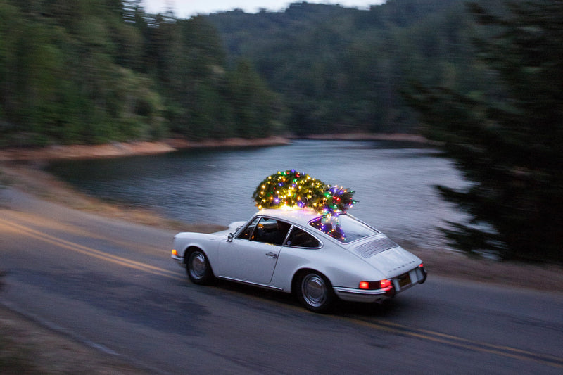 Get it in time for the Holidays!