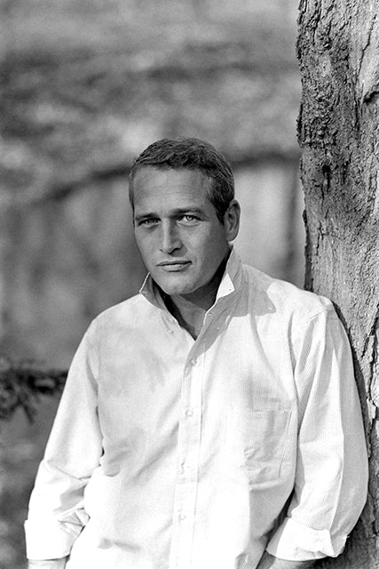 Mark Kauffman