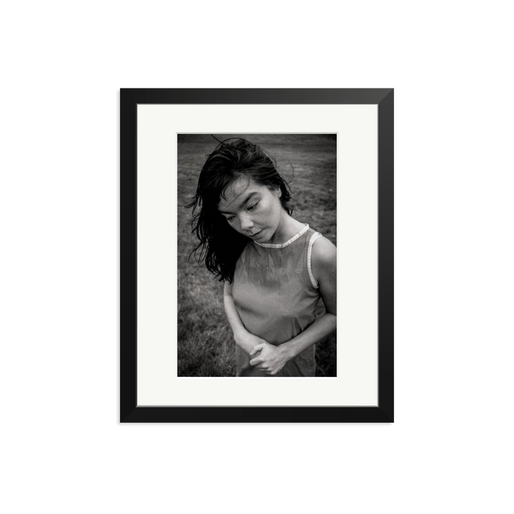 bjork-1995-frame-6.png?v=