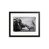 Churchill In Richmond Park