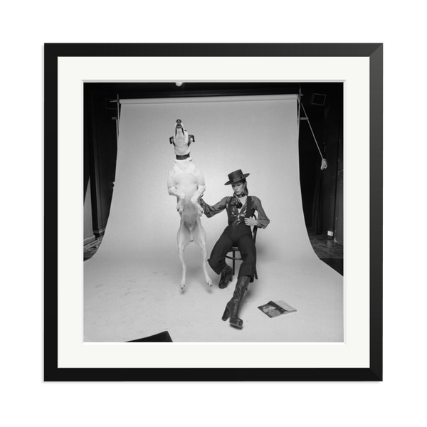 David Bowie Diamond Dog by Terry O'Neill | Photography
