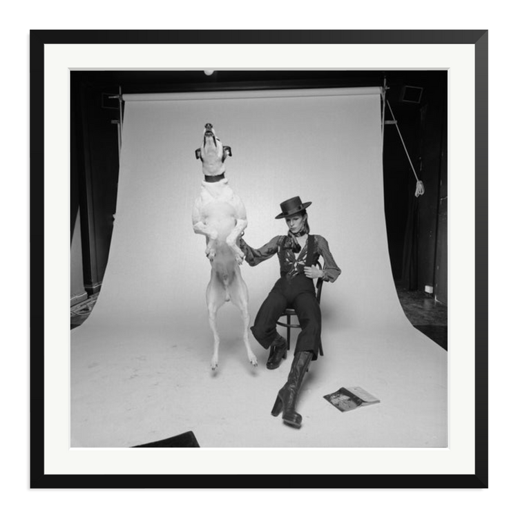 david-bowie-diamond-dog-frame-