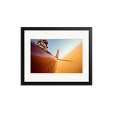 Desert Flight