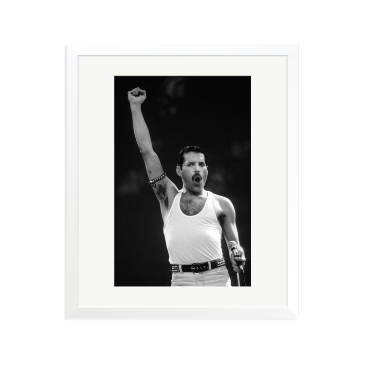 Amazon.com: TAMASHII NATIONS - Freddie Mercury - Freddie