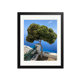 In Full Bloom