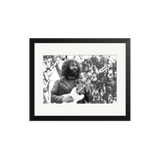 Jerry Garcia performs