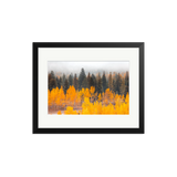 Kalispell Autumn