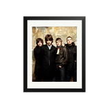 Monkeys 2012