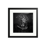 Pablo Picasso Light Drawing, Black and White