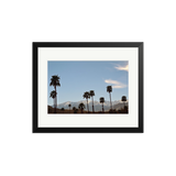 Palms Trees & Snowy Mountains