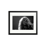 Robert Plant in Detroit