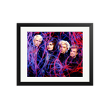 Siouxsie and the Banshees