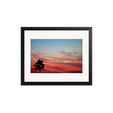 Sunset Palm