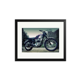The Triumph