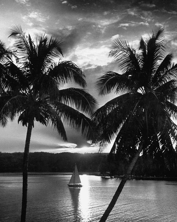 Wallace Kirkland